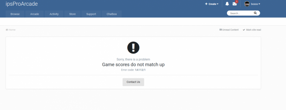 error_after_play.png