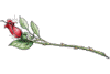 image.gif.a145579442b8db17c387617271812993.gif